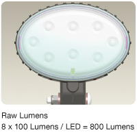 How to calculate Effective Lumens starting with Raw Lumens
