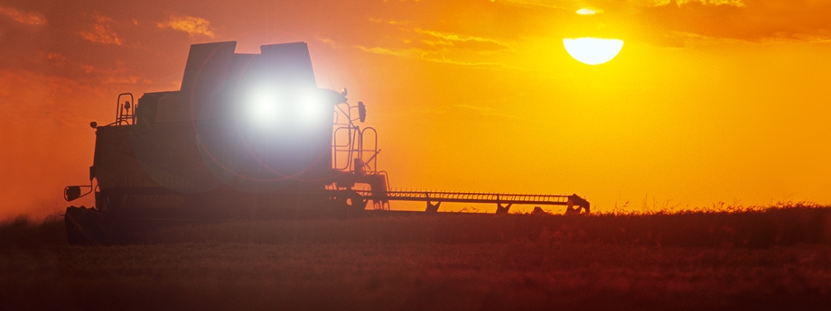 Learn more about the full lineup of agricultural LED products from J.W. Speaker