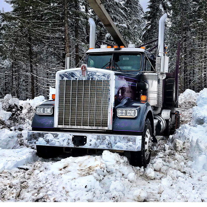 8800 LED Heated Headlights on Kenworth