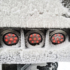Model 234 Heated LED Tail Lights Melting Snow on Truck Trailer